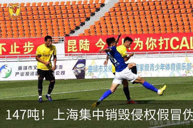 147吨！上海集中销毁侵权假冒伪劣商品